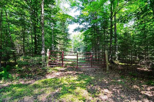 1.82 Acres of Residential Land for Sale in Athelstane, Wisconsin