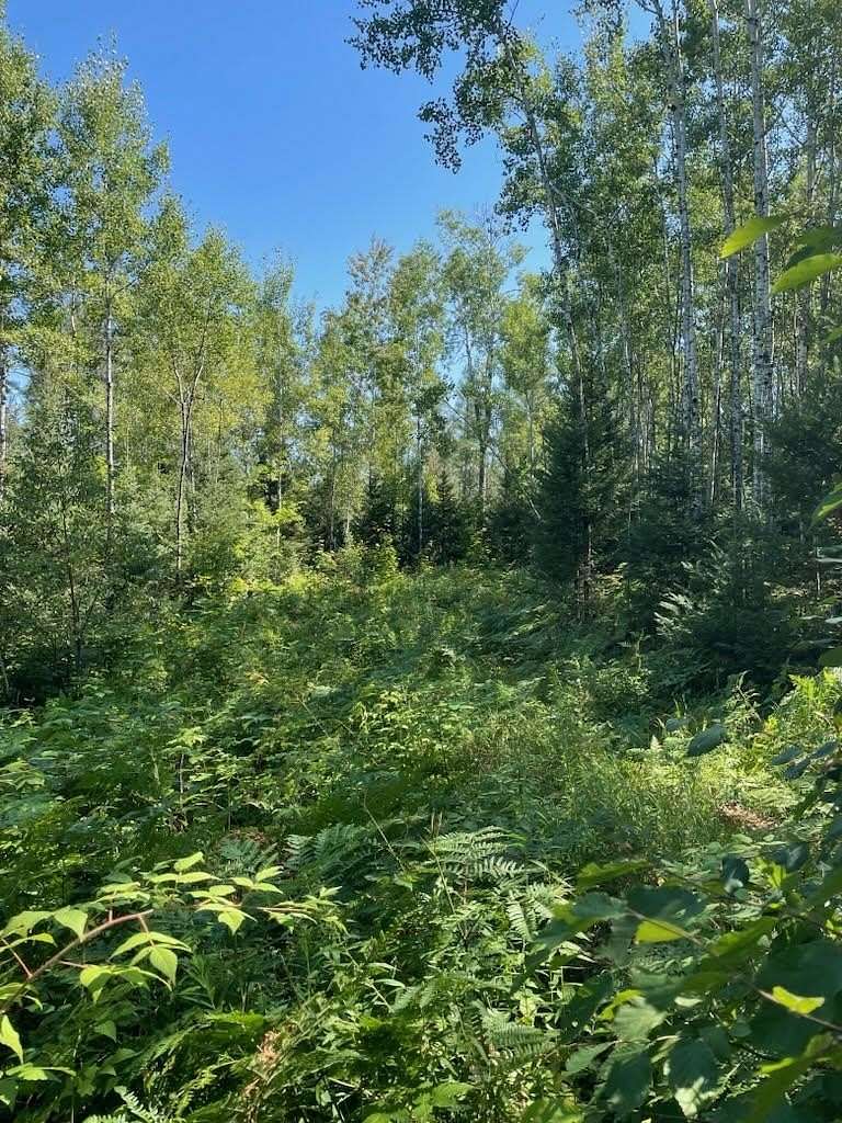 5.5 Acres of Residential Land for Sale in Iron Mountain, Michigan