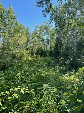 5.5 Acres of Residential Land for Sale in Iron Mountain, Michigan