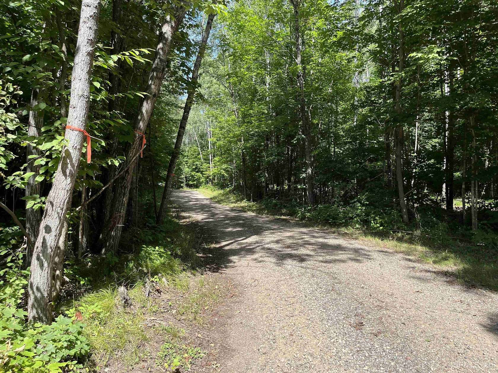 6 Acres of Land for Sale in Fern Town, Wisconsin