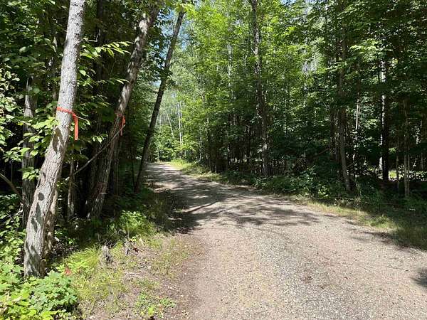 6 Acres of Land for Sale in Fern Town, Wisconsin