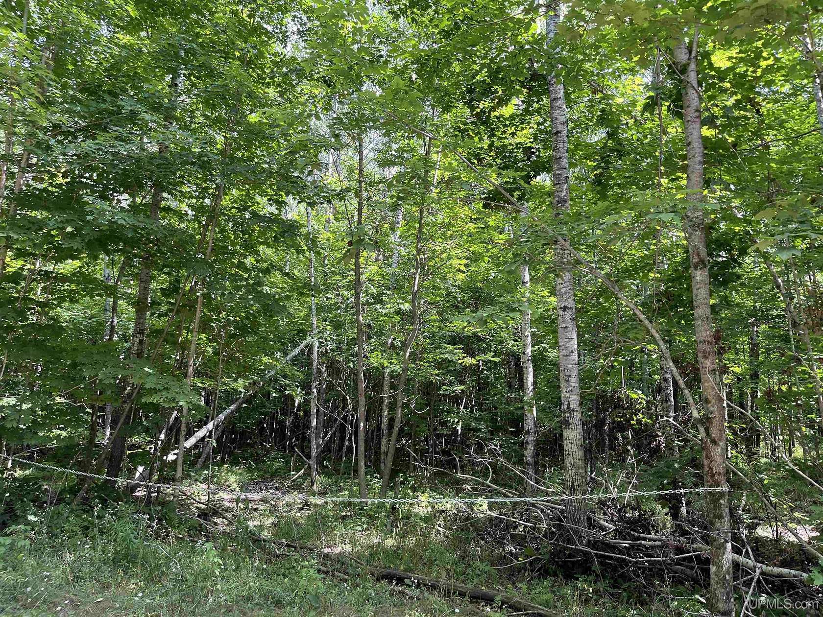 7.3 Acres of Land for Sale in Fern Town, Wisconsin