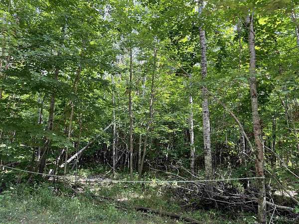 7.3 Acres of Land for Sale in Fern Town, Wisconsin