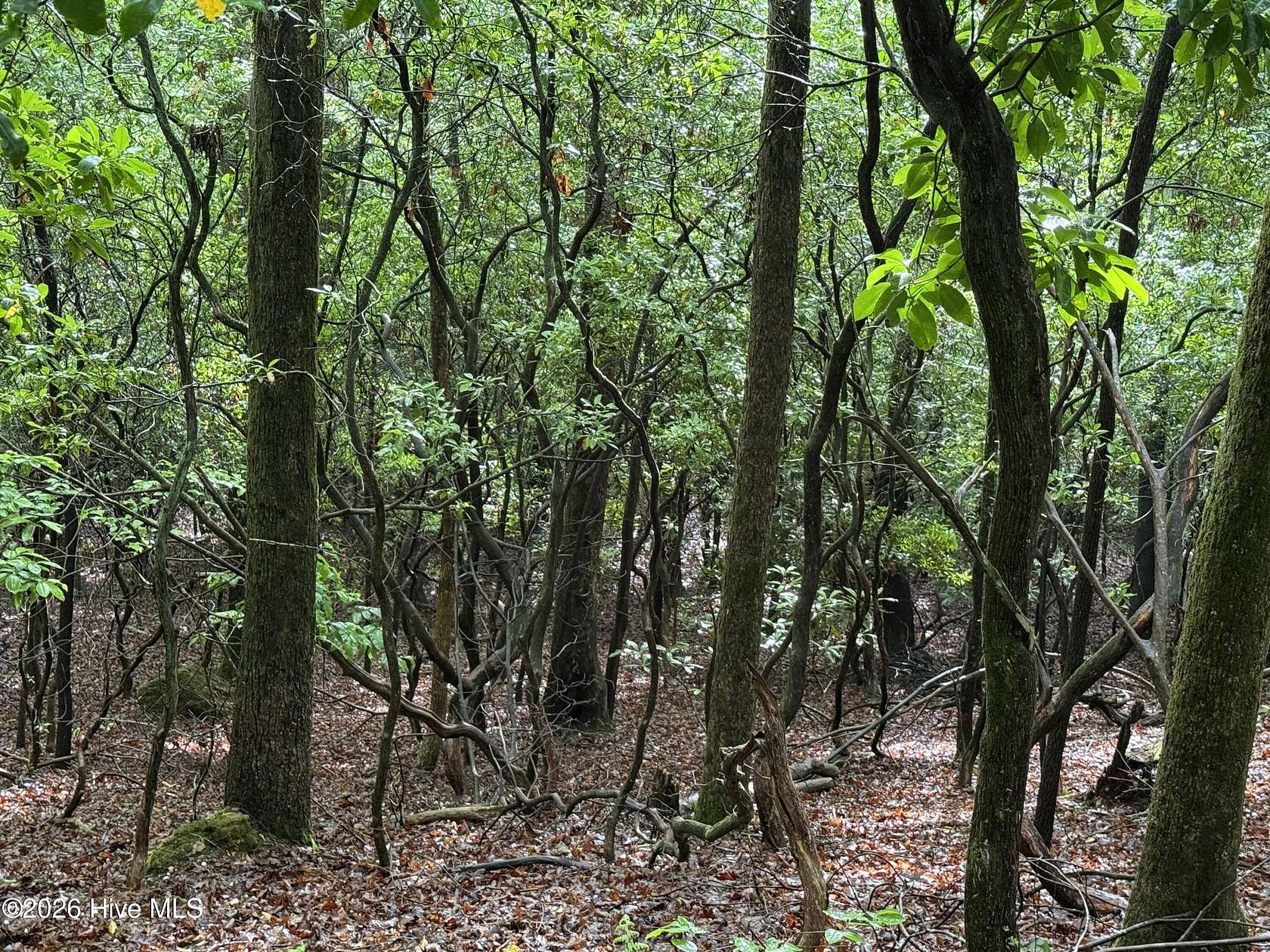 1.4 Acres of Residential Land for Sale in Murphy, North Carolina