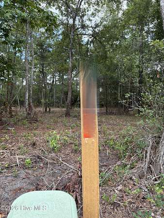 0.16 Acres of Land for Sale in Supply, North Carolina