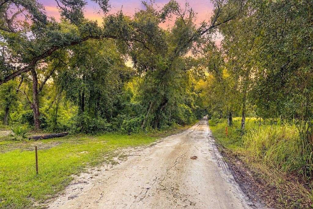 9 Acres of Residential Land for Sale in Nobleton, Florida