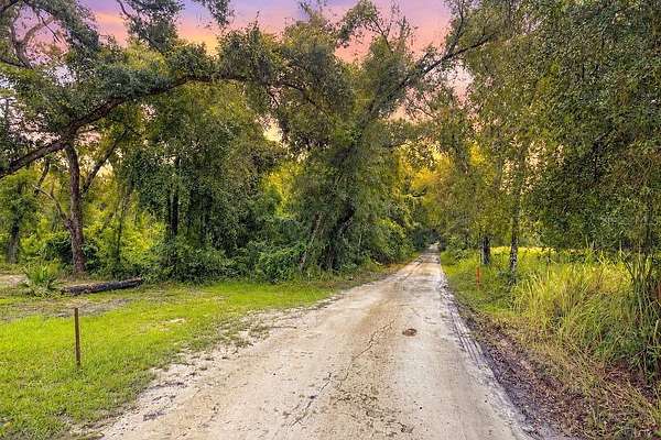 9 Acres of Residential Land for Sale in Nobleton, Florida