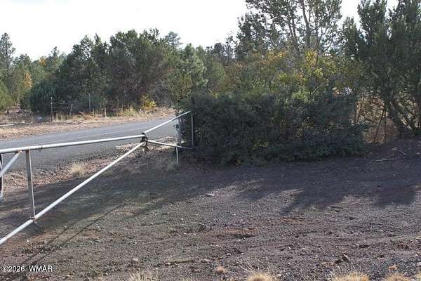 16.9 Acres of Land for Sale in Vernon, Arizona