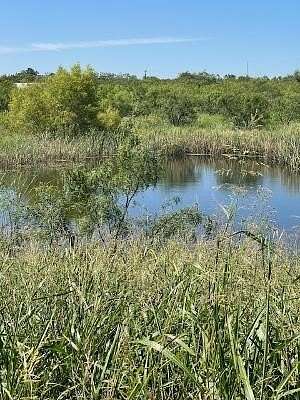 9.66 Acres of Residential Land for Sale in Coleman, Texas