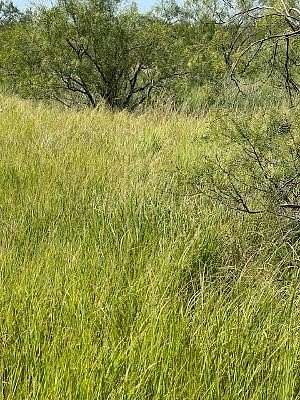 9.66 Acres of Residential Land for Sale in Coleman, Texas