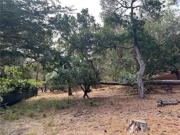 0.4 Acres of Residential Land for Sale in Cambria, California