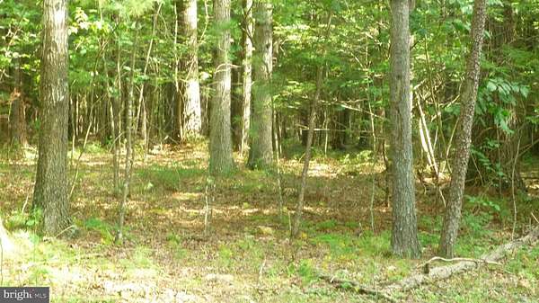 5 Acres of Land for Sale in Edinburg, Virginia