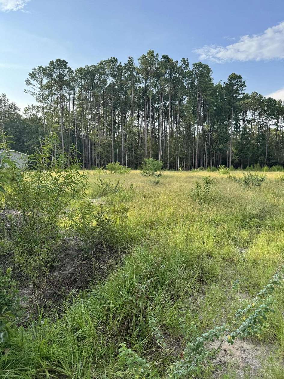 1 Acre of Residential Land for Sale in Walterboro, South Carolina