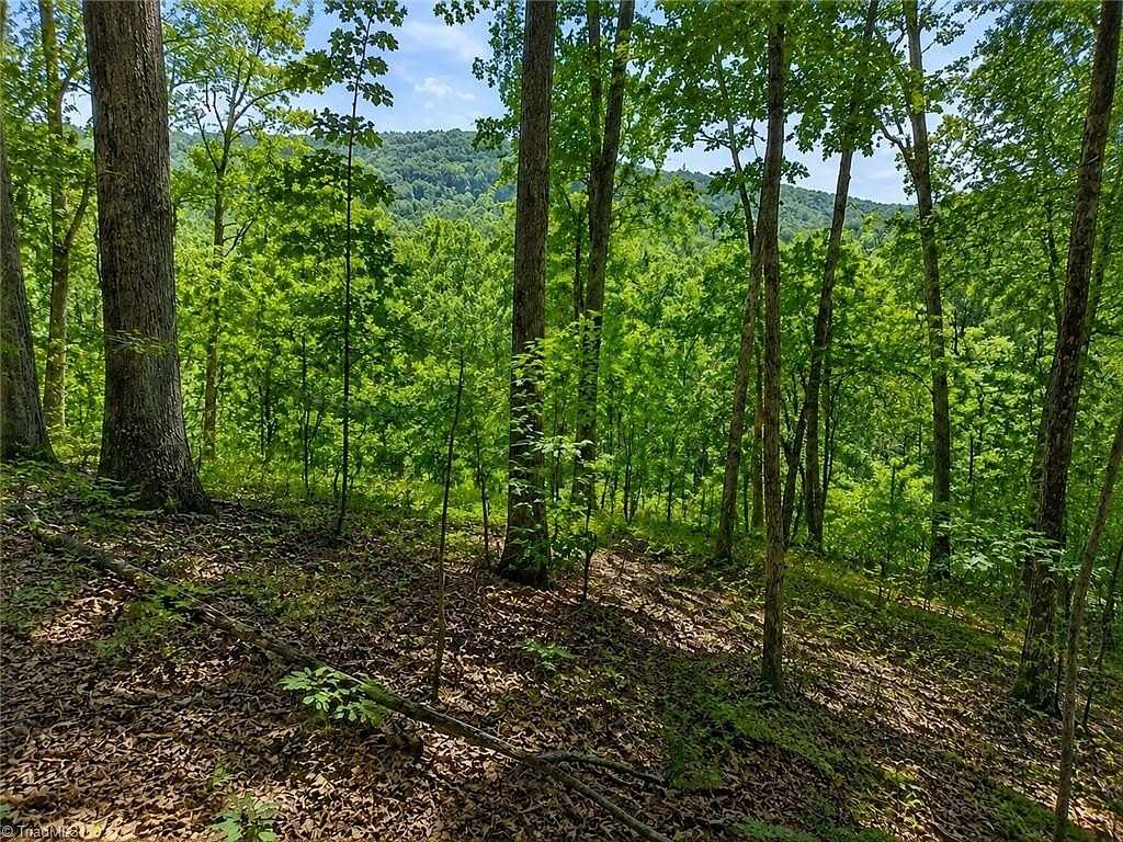 3.33 Acres of Residential Land for Sale in Danbury, North Carolina