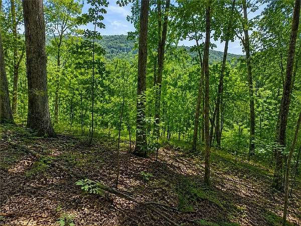 3.33 Acres of Residential Land for Sale in Danbury, North Carolina