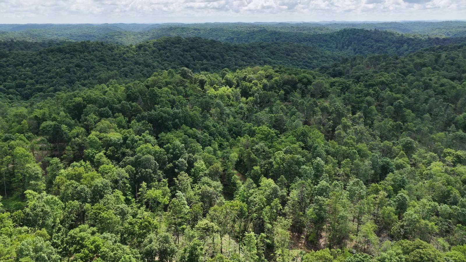 8 Acres of Land for Sale in Wingett Run, Ohio