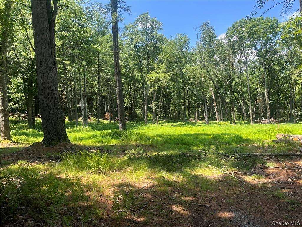2.4 Acres of Residential Land for Sale in Glen Spey, New York