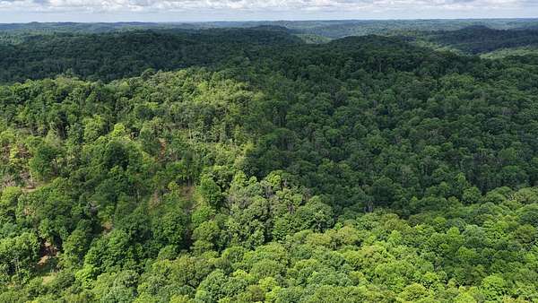 15 Acres of Land for Sale in Wingett Run, Ohio