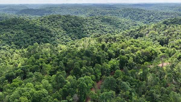 16 Acres of Land for Sale in Wingett Run, Ohio