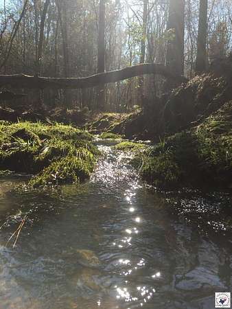 25.5 Acres of Recreational Land for Sale in Arkansas Township, Arkansas