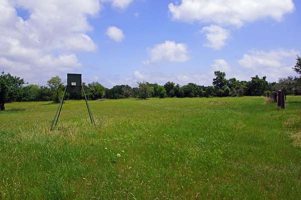 20 Acres of Improved Recreational Land for Sale in Briggs, Texas