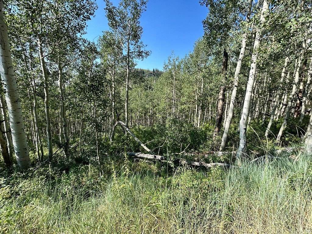 1 Acre of Residential Land for Sale in Midway, Utah