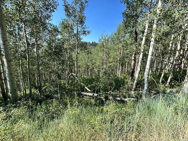 1 Acre of Residential Land for Sale in Midway, Utah