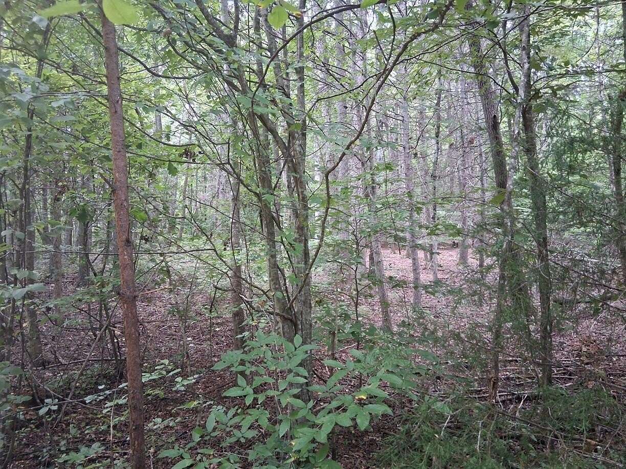 3 Acres of Residential Land for Sale in Del Rio, Tennessee