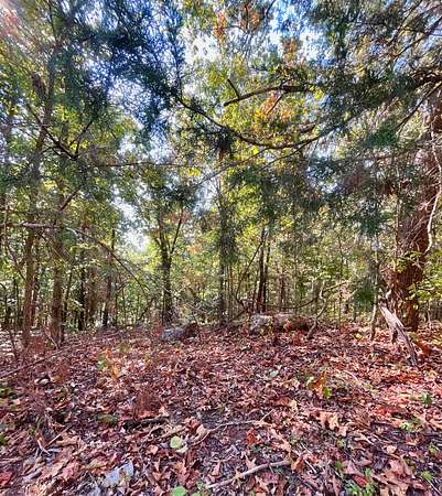 0.44 Acres of Residential Land for Sale in Horseshoe Bend, Arkansas