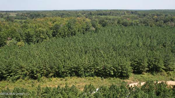 3.65 Acres of Residential Land for Sale in McCool, Mississippi