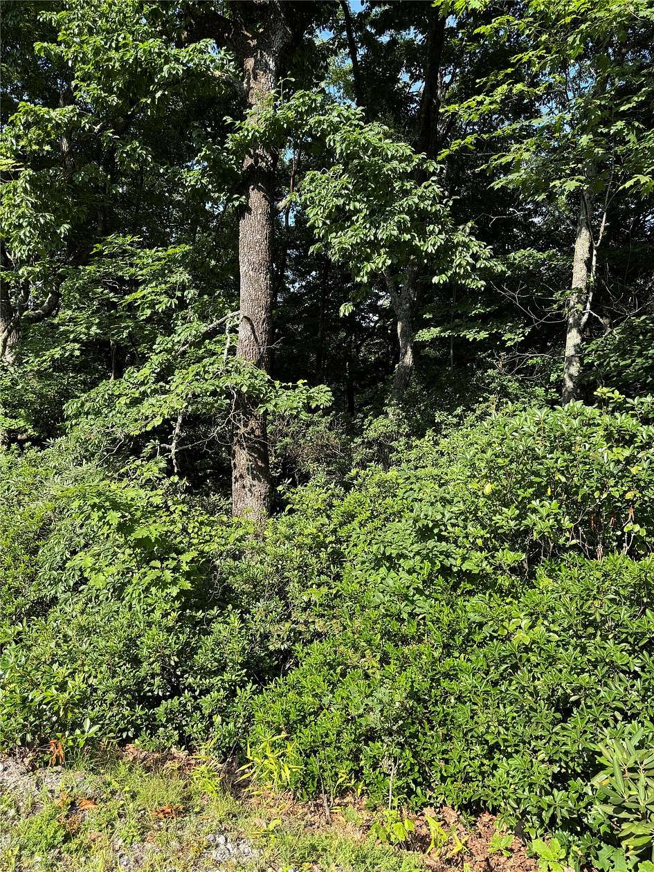 0.98 Acres of Residential Land for Sale in Sapphire, North Carolina