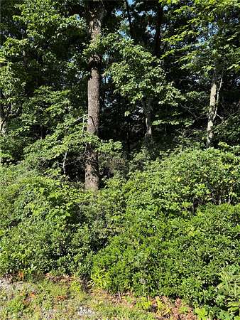0.98 Acres of Residential Land for Sale in Sapphire, North Carolina