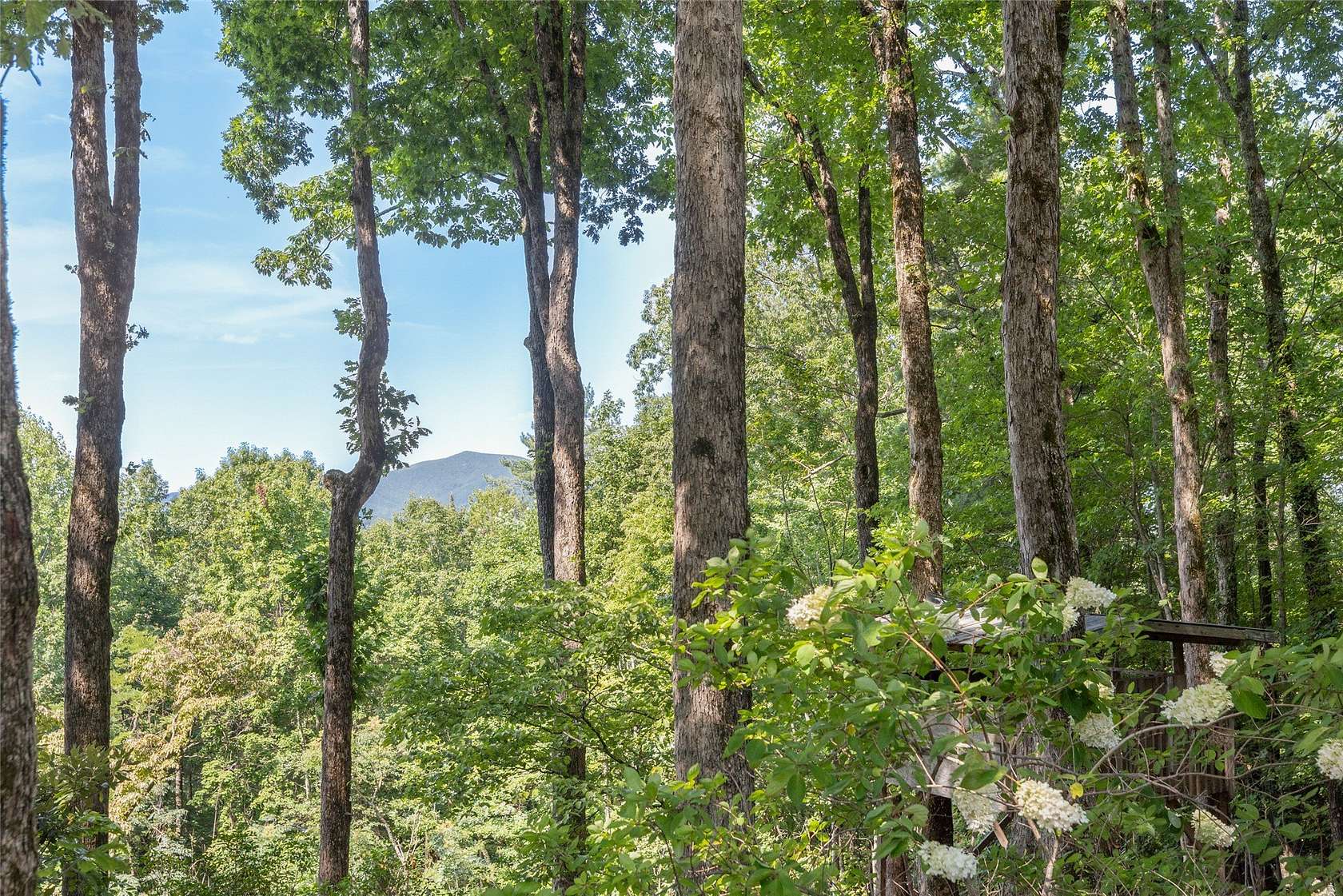2.16 Acres of Land with Home for Sale in Highlands, North Carolina