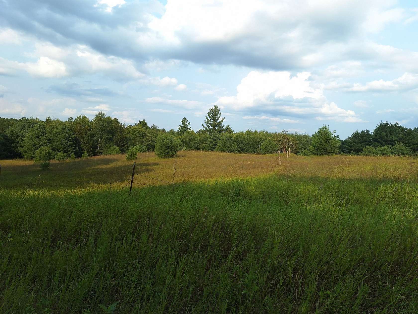 18.8 Acres of Agricultural Land for Sale in Le Roy, Michigan