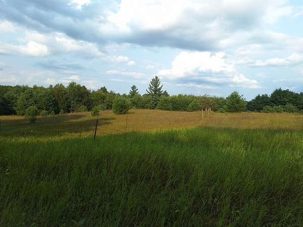 18.8 Acres of Agricultural Land for Sale in Le Roy, Michigan