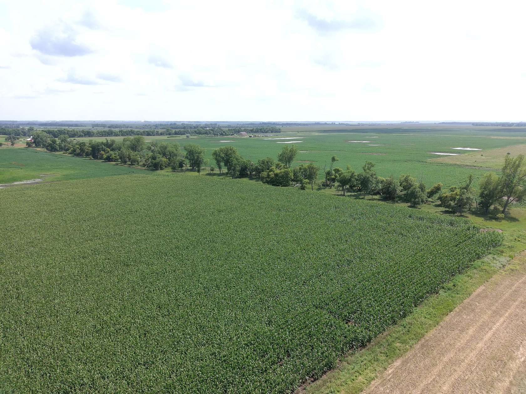 137 Acres of Land for Sale in Frederick, South Dakota