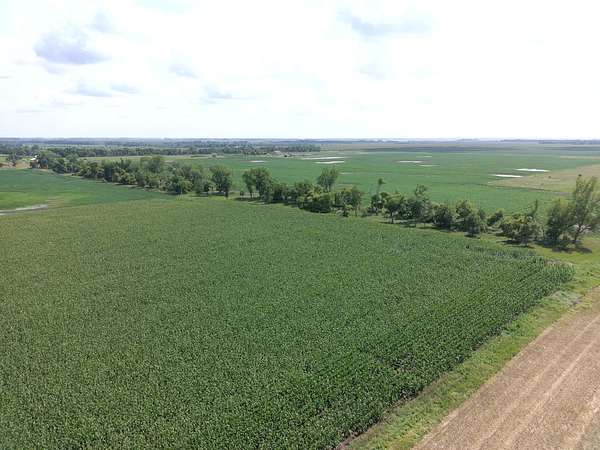 137 Acres of Land for Sale in Frederick, South Dakota