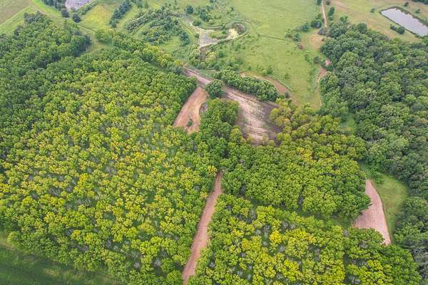 28.6 Acres of Recreational Land for Sale in Princeton, Illinois