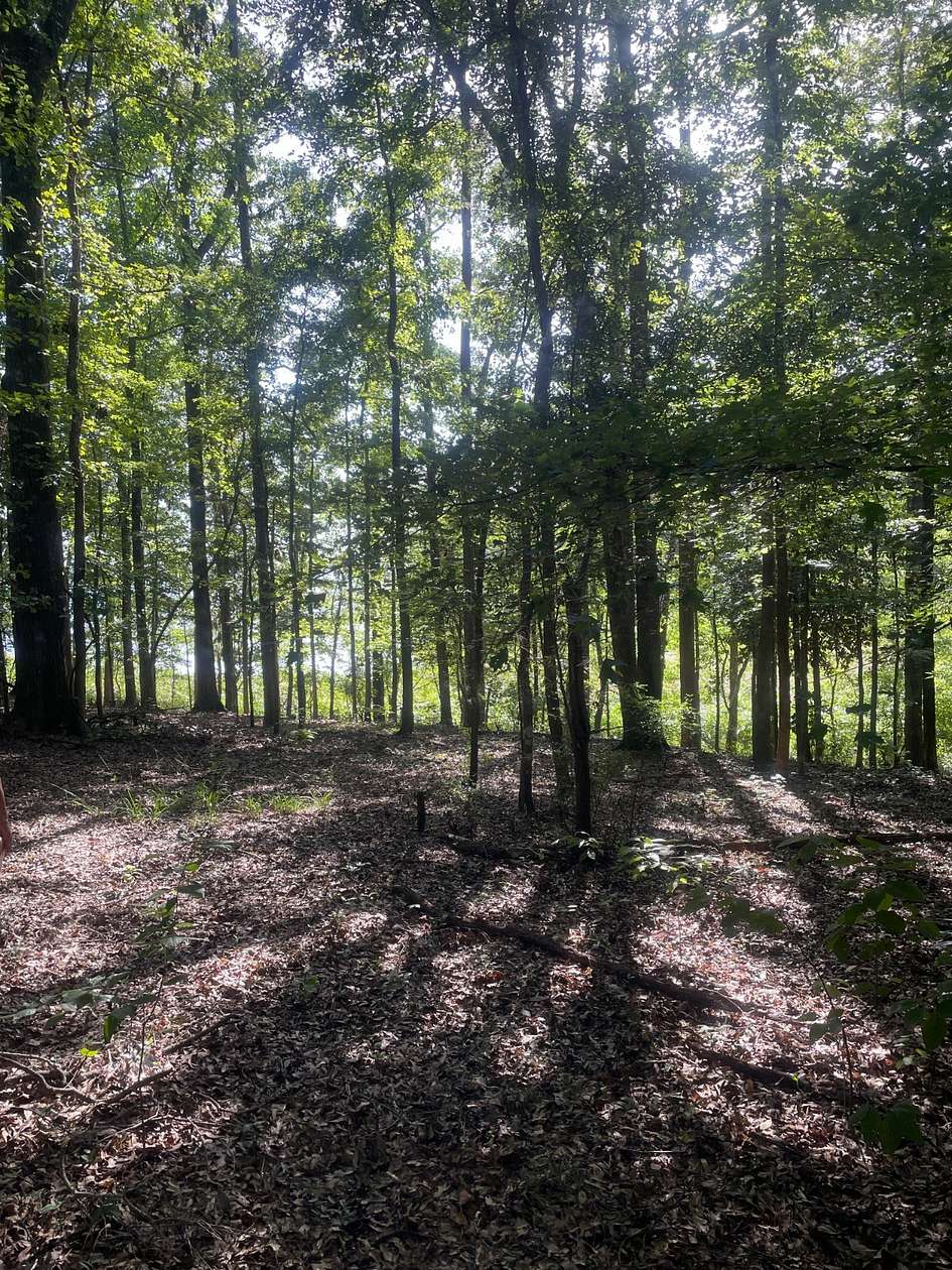 1.19 Acres of Land for Sale in Georgetown, Georgia
