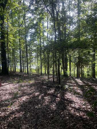 1.19 Acres of Land for Sale in Georgetown, Georgia