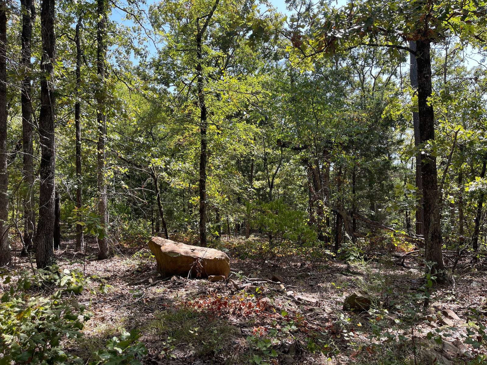 10 Acres of Recreational & Residential Land for Sale in Antlers, Oklahoma