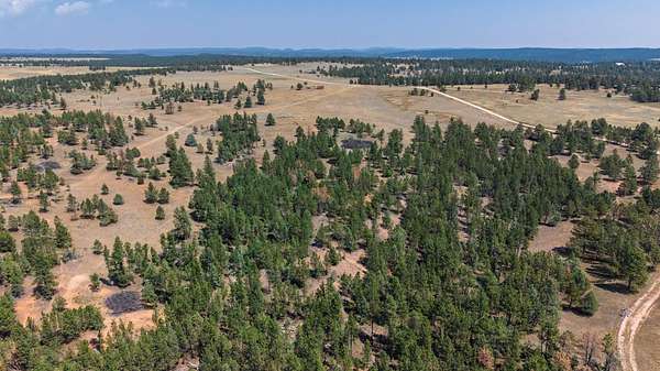 40 Acres of Land for Sale in Custer, South Dakota