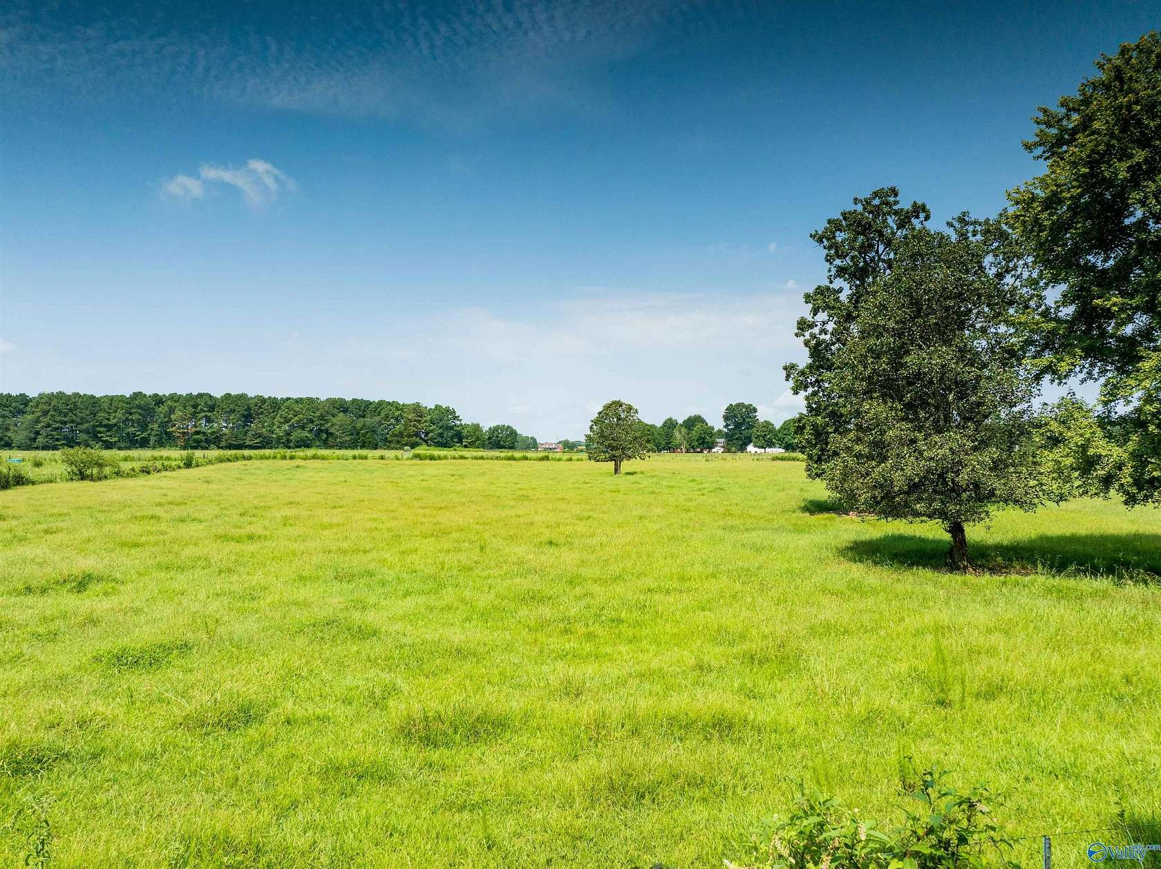 19.5 Acres of Land for Sale in Athens, Alabama
