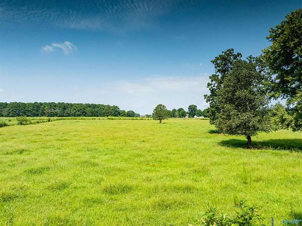 19.5 Acres of Land for Sale in Athens, Alabama
