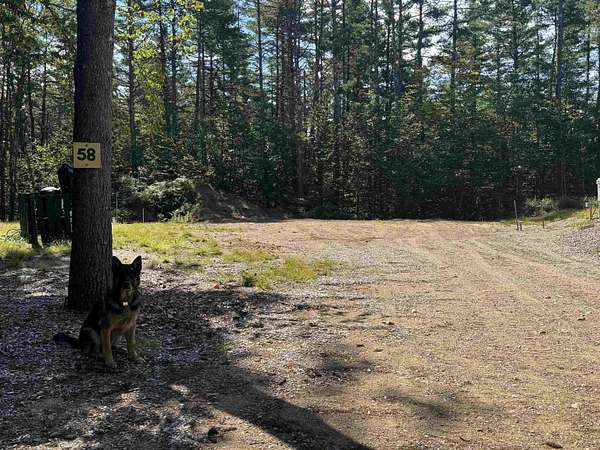 1 Acre of Residential Land for Sale in Tamworth, New Hampshire