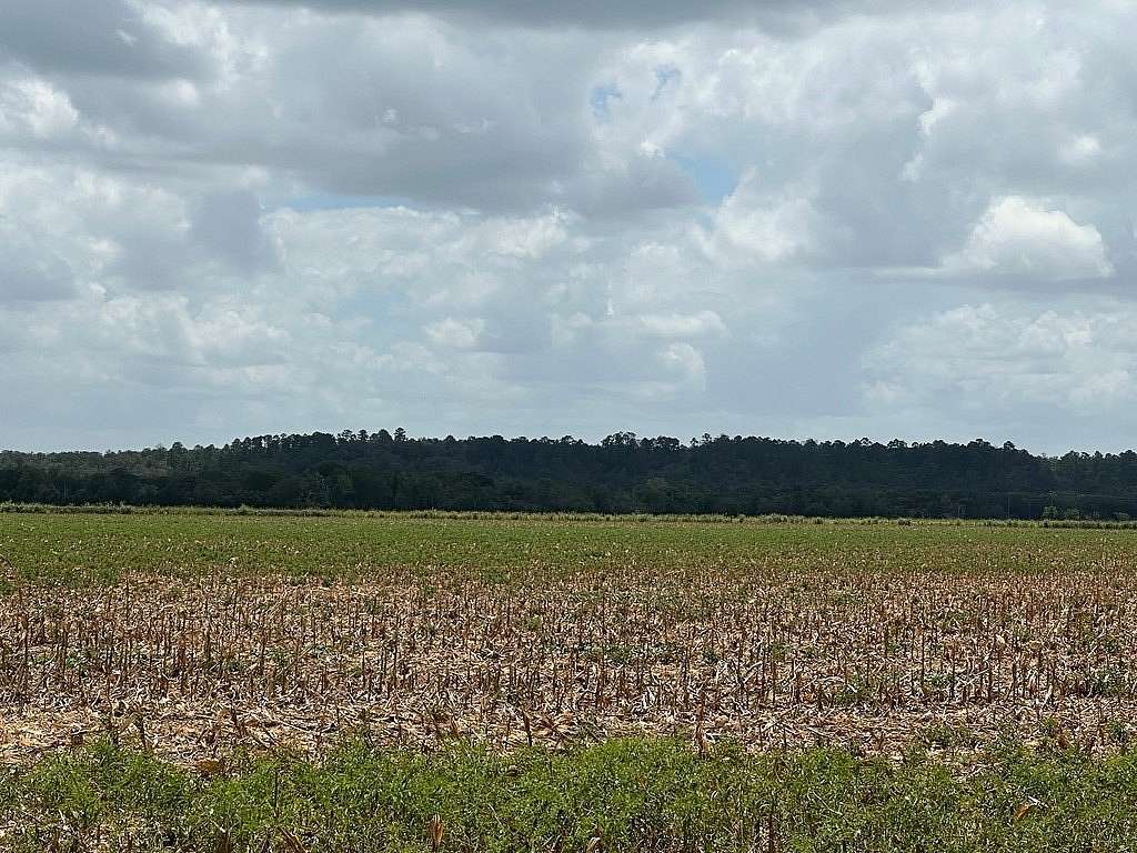 32.4 Acres of Land for Sale in La Grange, Texas