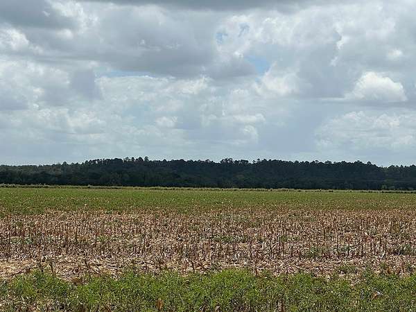 32.4 Acres of Land for Sale in La Grange, Texas