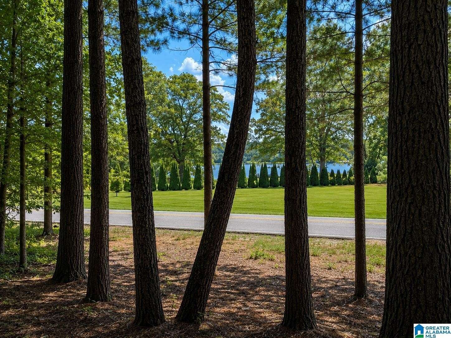 0.31 Acres of Residential Land for Sale in Talladega, Alabama