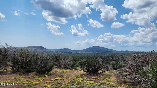 10 Acres of Recreational & Residential Land for Sale in Flagstaff, Arizona