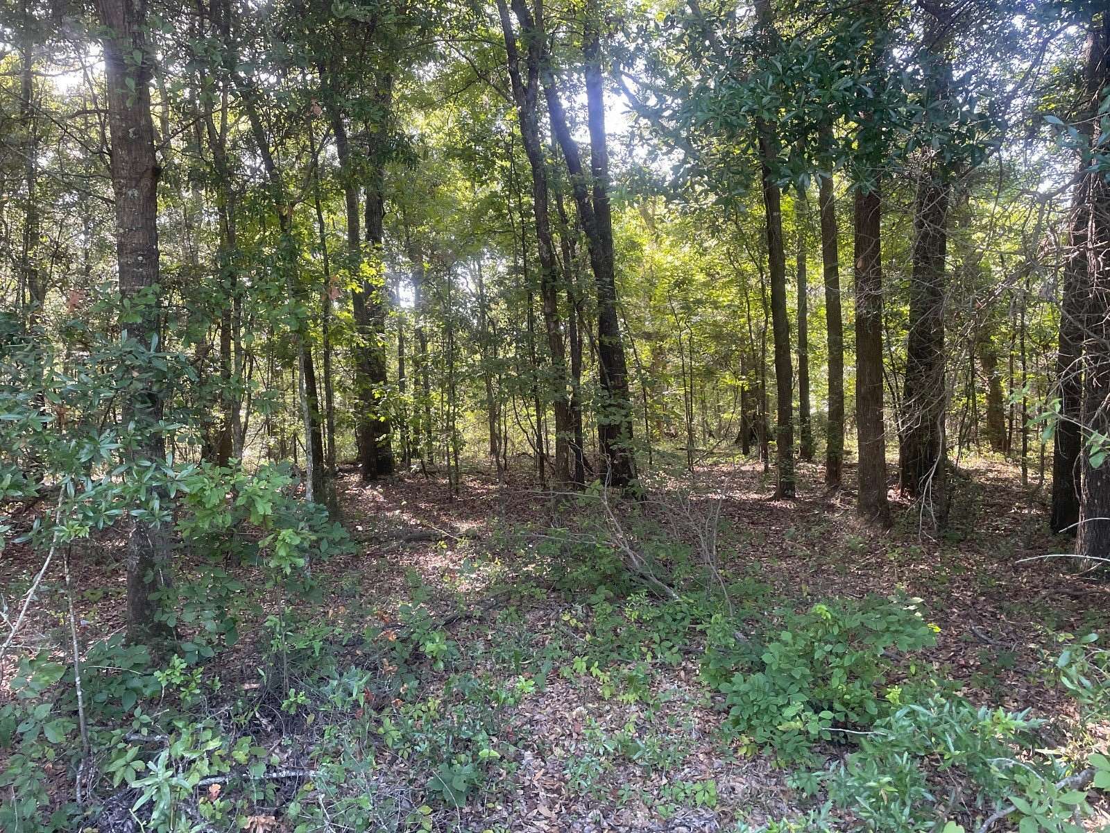 1.54 Acres of Land for Sale in Georgetown, Georgia